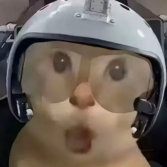 有亩的少羽