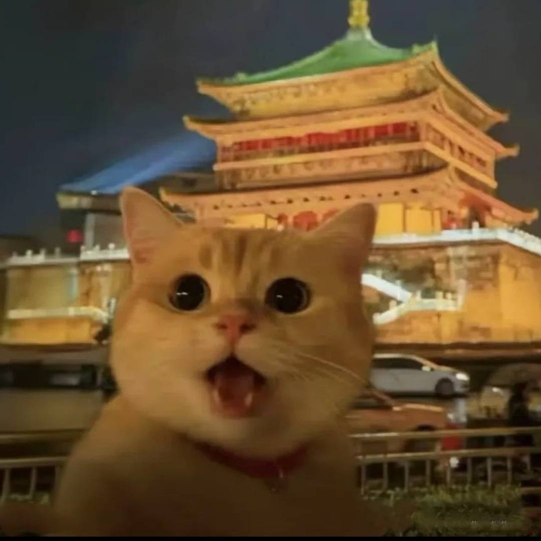 香香的小鼠