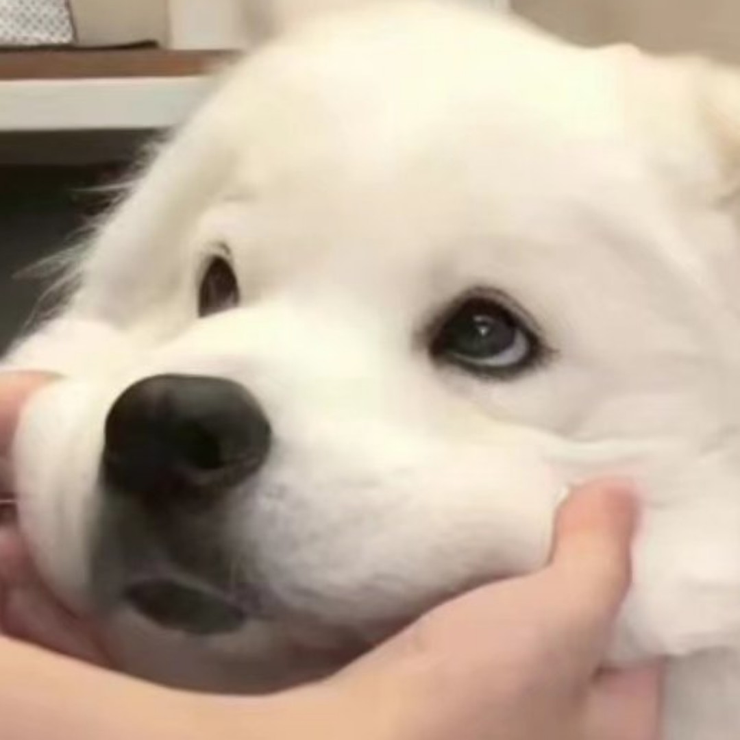 月花长进心头里