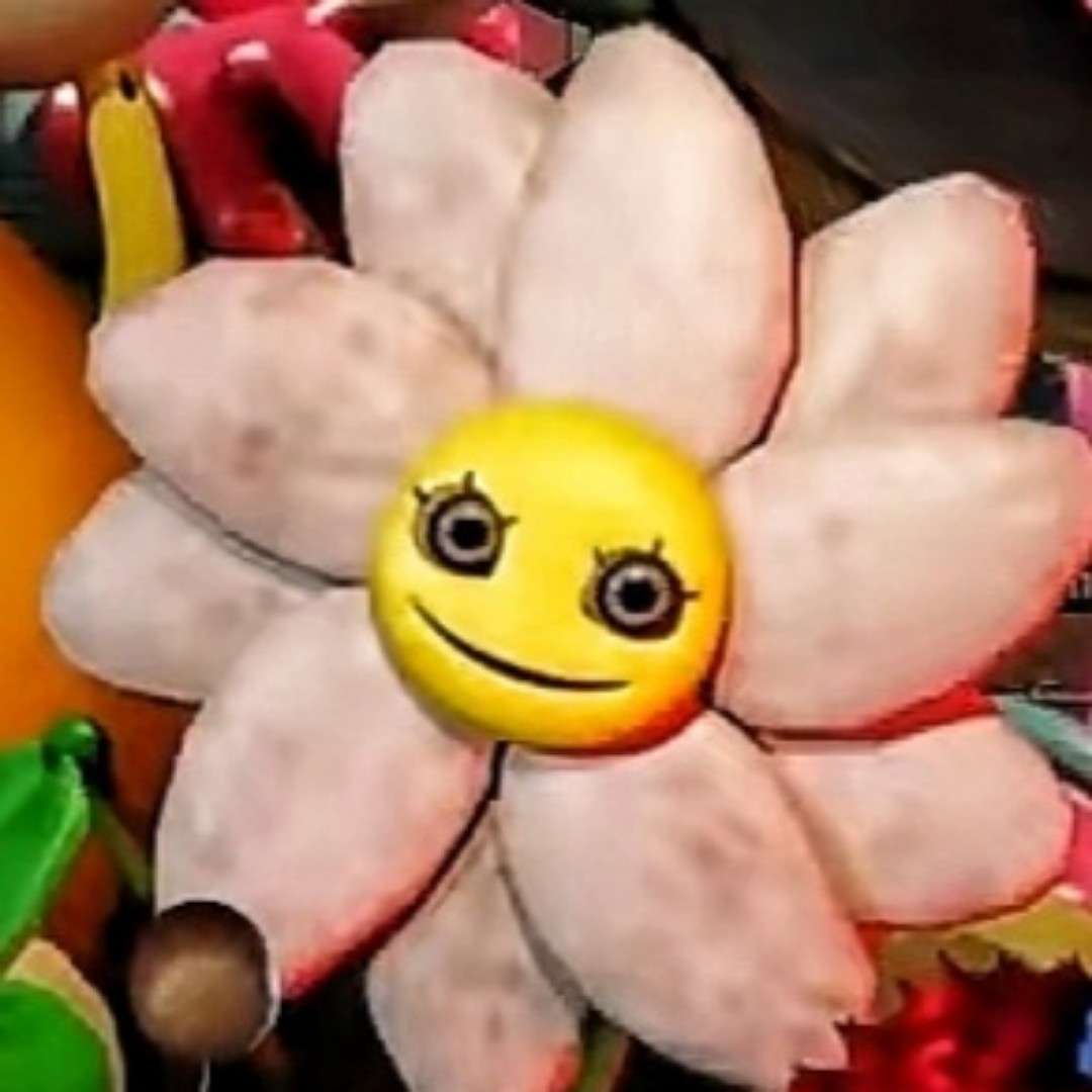 小花朵儿黛西