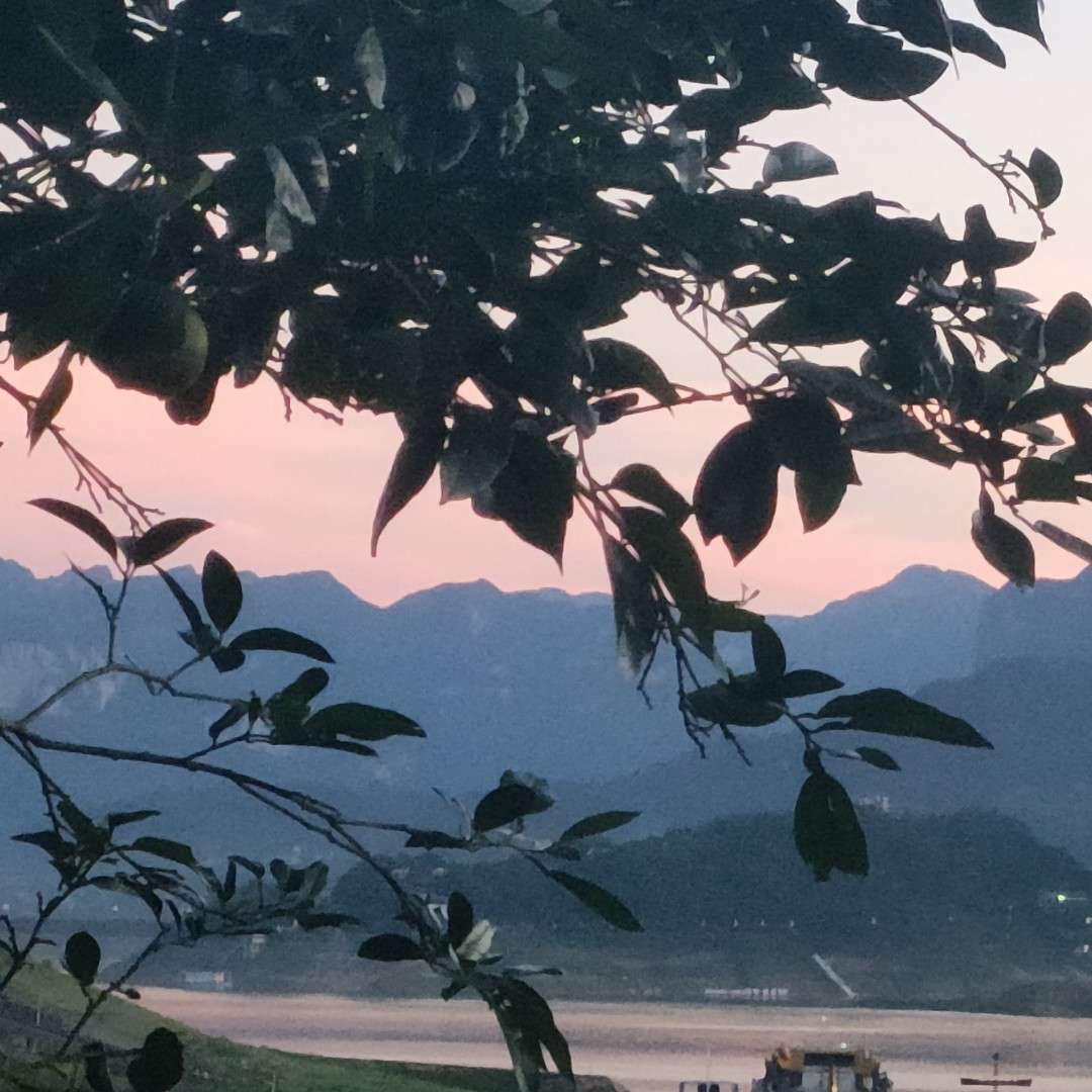 暮芰